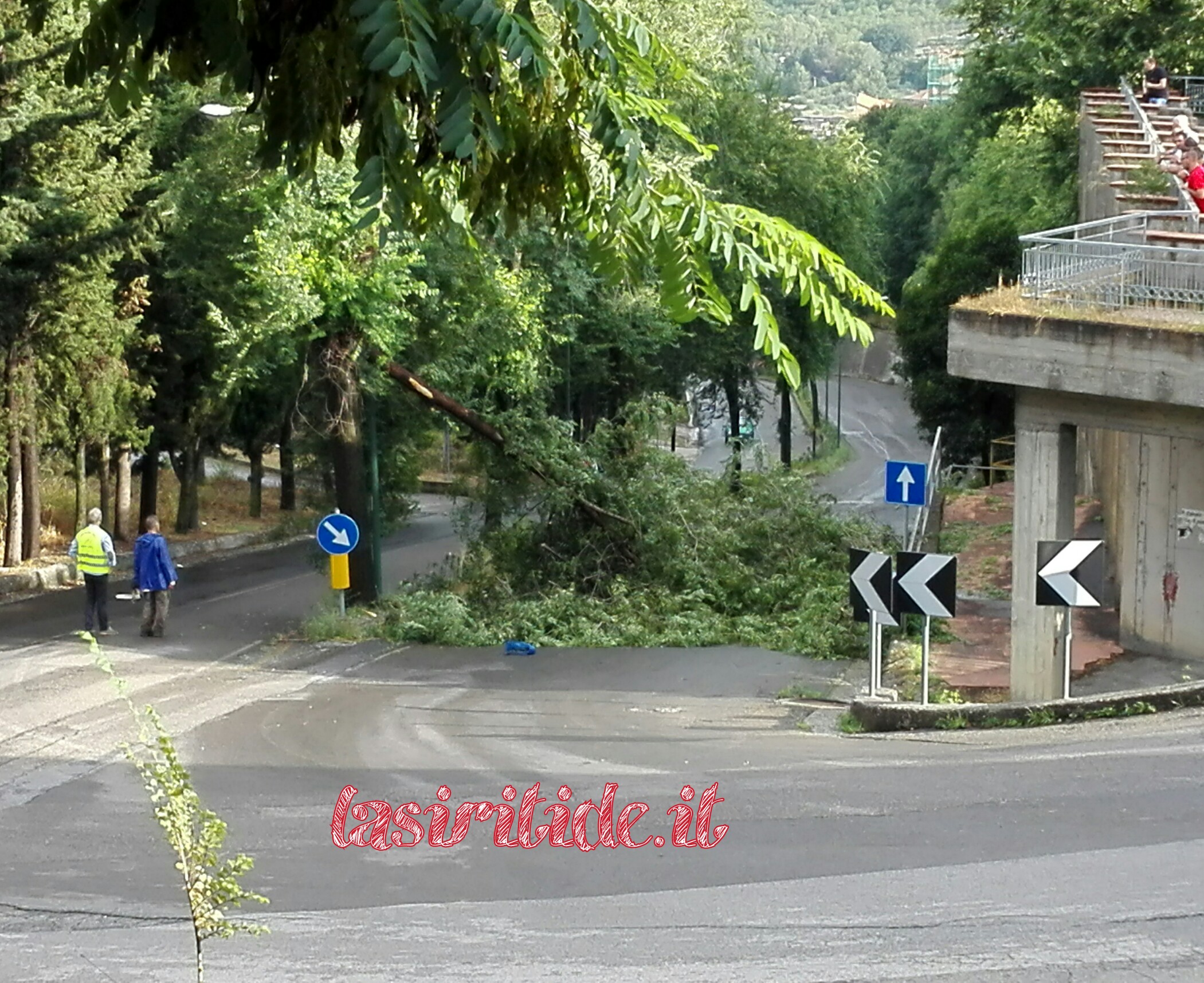 Pino Sansanelli - Balordi...Un Pò Geniali / Sceneggiato Pino Sansanelli - Balordi...Un Pò Geniali / Sceneggiato