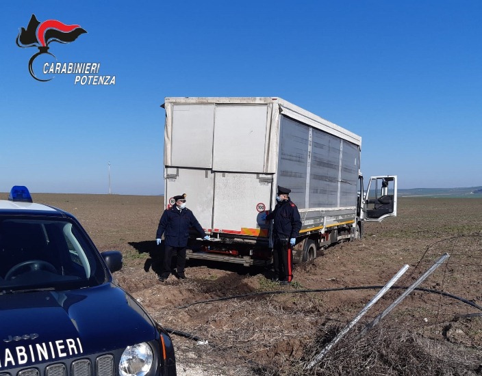 La Siritide 7 03 2021 Banzi Furto In Azienda Agricola Sventato Dai 